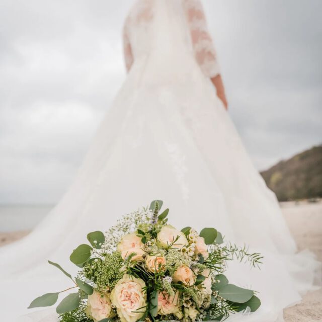 Let's get married on the beach! 🌊
.
Unsere Auftakthochzeit war in diesem Jahr eine ganz Besondere: Christiane und Alex gaben sich am 12.4.24 im kleinen, intimen Rahmen ihrer engsten und liebsten Personen auf Rügen das Ja-Wort. 
Wir danken herzlich für euer Vertrauen in uns, euren schönsten Tag zu gestalten. 
Alles erdenklich Gute für eure Zukunft! 💜
 .
#Weddingplanner #Hochzeitsplaner #rügen #inselruegen #beachwedding #Hochzeit  #heiratenaufruegen #meer #mehrmeer #inselliebe #Hochzeitaufruegen #weddingdreamsruegen #hochzeitsplanerruegen #heiraten #strandhochzeit #weddingatthebeach #binz ##Standesamt#Ostseebadbinz #Sellin #ichbineinselliner